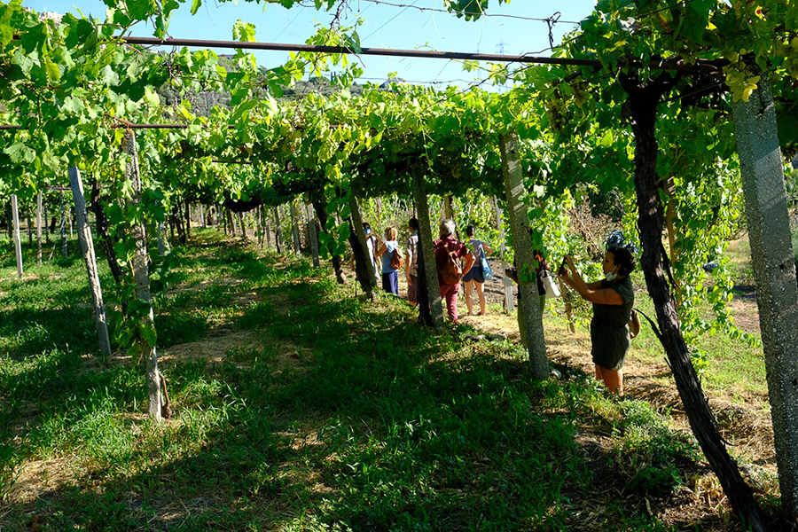 Tivoli: visite agli orti del Pizzutello rinviate al pomeriggio per maltempo