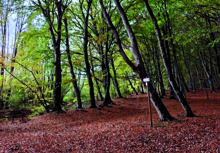 “Cammina in Natura” a Marcellina