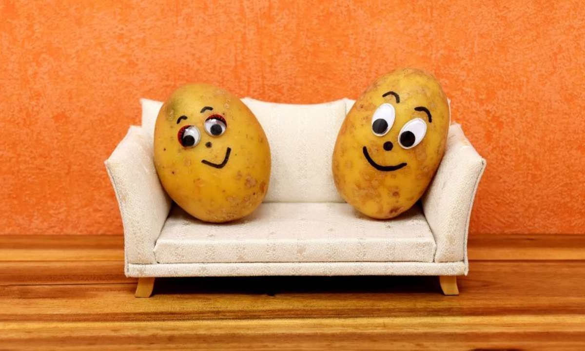 Patate - Notizialocale