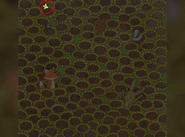 Soluzione test - Notizialocale