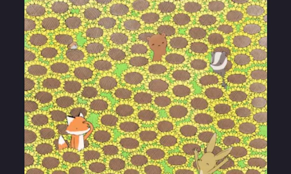 Test visivo - Notizialocale