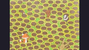 Test visivo - Notizialocale