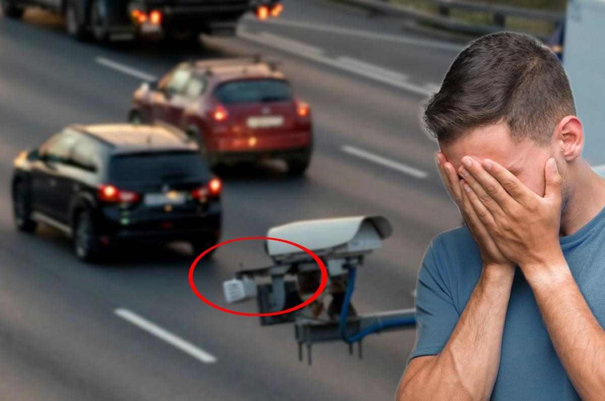 Scatta la multa autovelox: tanti verbali non valgono davvero | novembre diventa il mese dei ricorsi vincenti