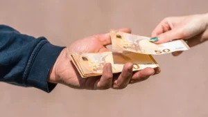 Buoni fruttiferi - Notizialocale