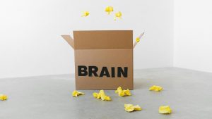 Brain (pexels)