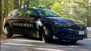 Fiat Tipo Carabinieri ( instagram )