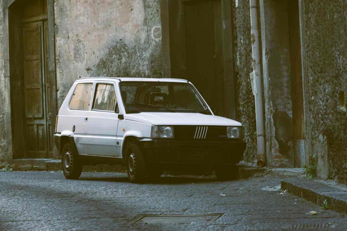 Fiat Panda, perché l’hanno chiamata proprio così: c’è un motivo ben preciso e non c’entra assolutamente nulla con l’animale